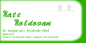 mate moldovan business card