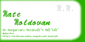 mate moldovan business card
